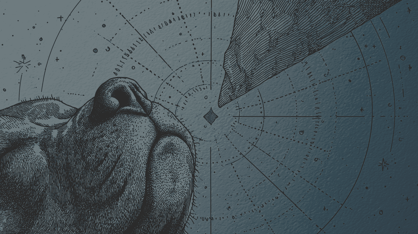 The Making of a Stylish Dog-Centered Lifestyle Media using Giselle